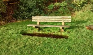 Poor provision of benches