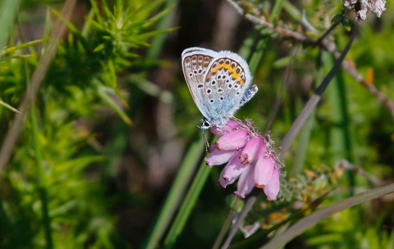 Harbourside Park Masterplan