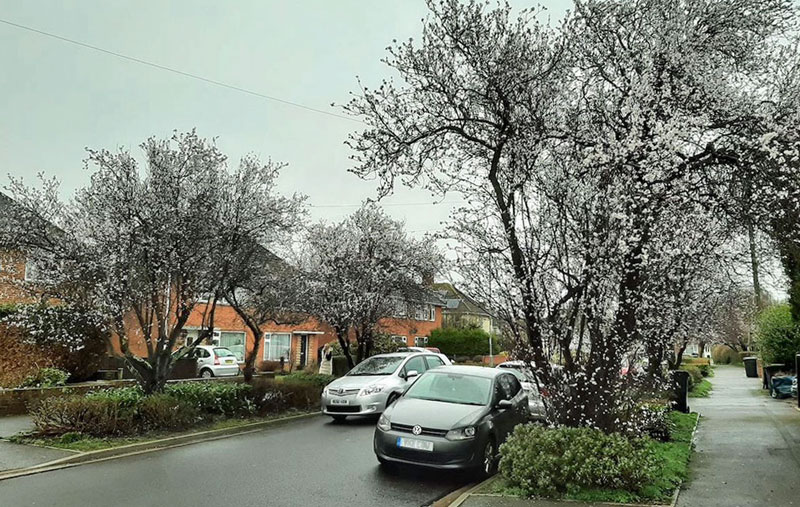 The harbour end of the sluice channel © A D Coastalmedia