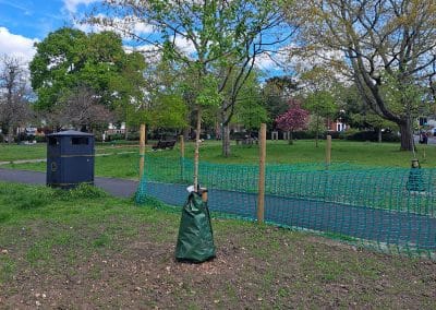 Greening for the future - new tree planting