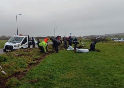 Hedge planting toward the far end of Broadway, Hengistbury Head